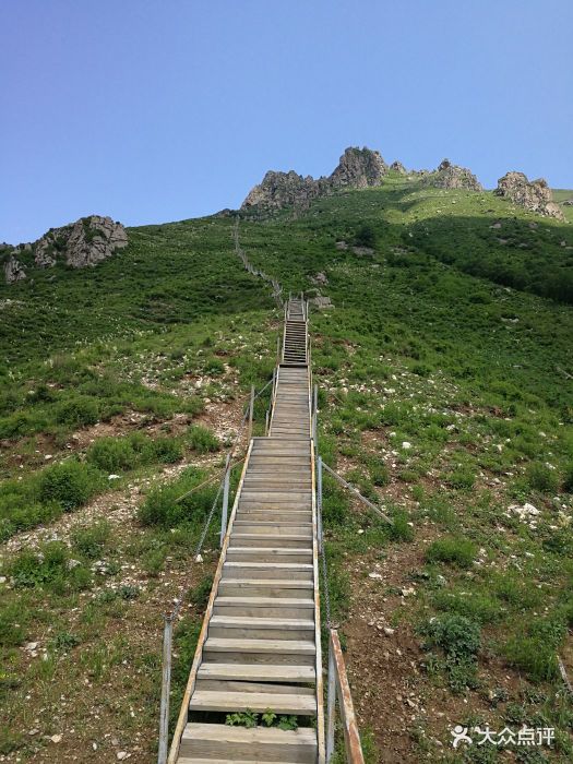 老板人很好家常菜很好吃,什么时候想吃饭直.