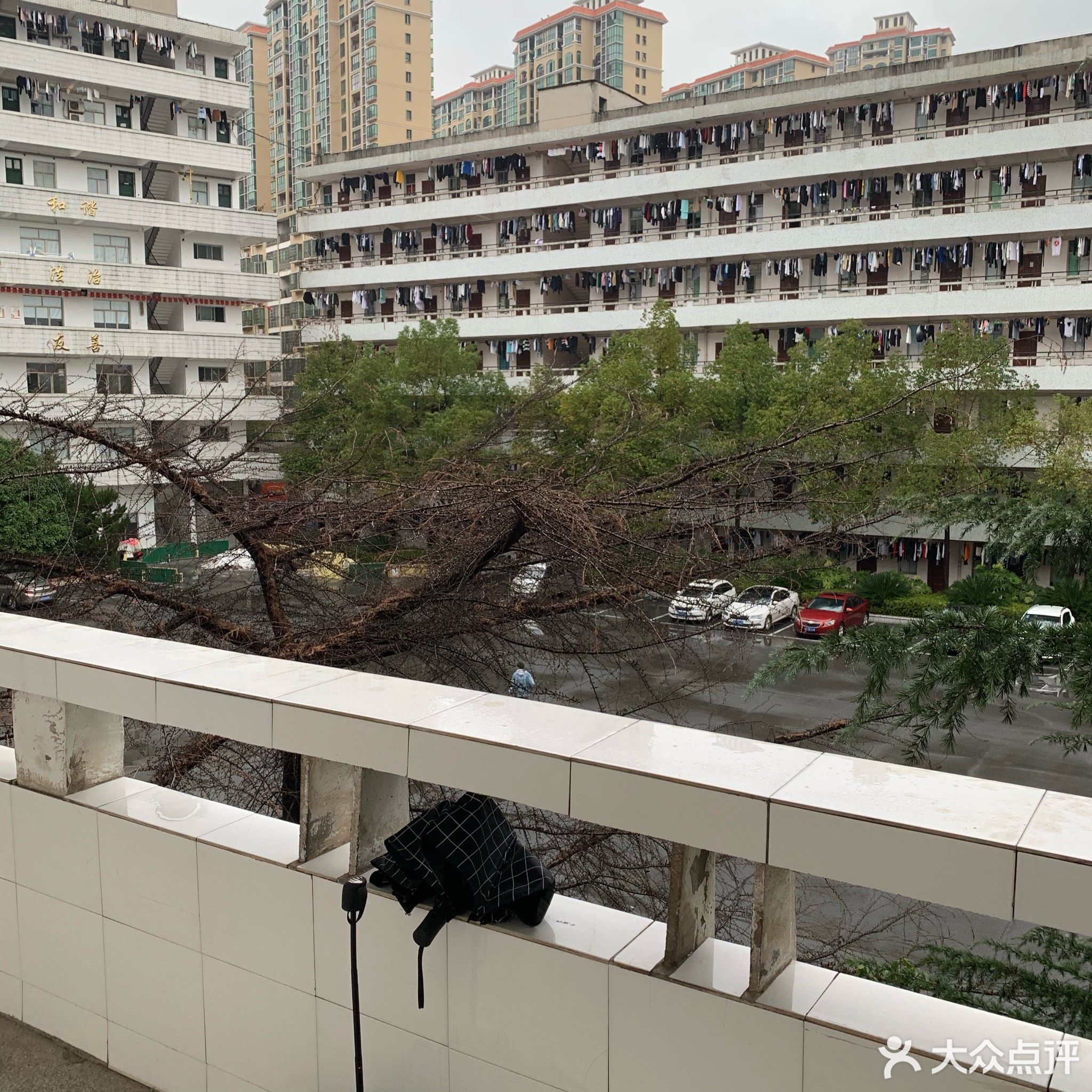 长沙医学院(衡阳校区)