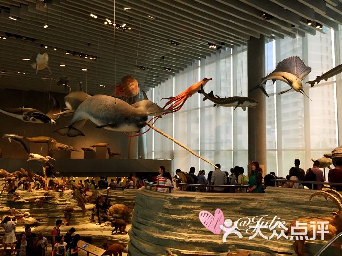 上海自然博物馆(静安新馆)生命长河图片 - 第8张