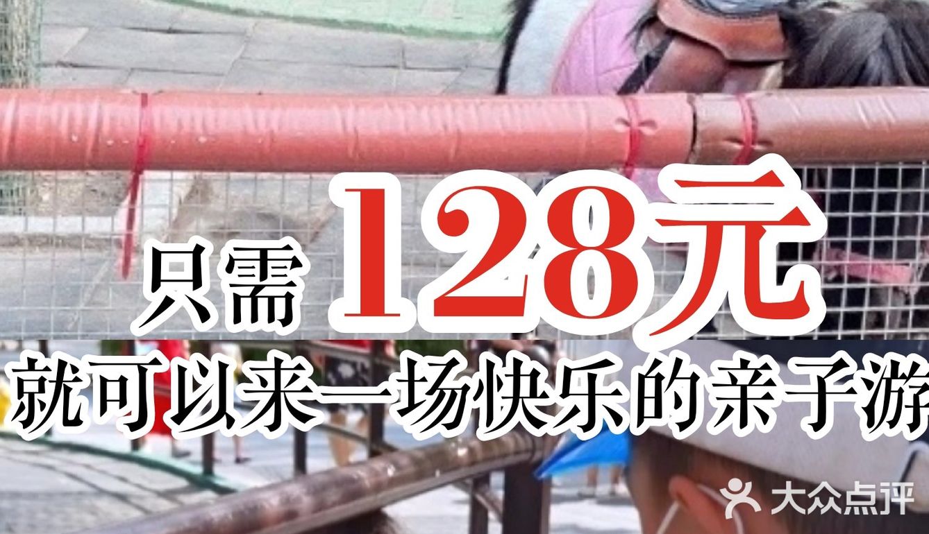 只需128元就可以来一场快乐的亲子游调皮