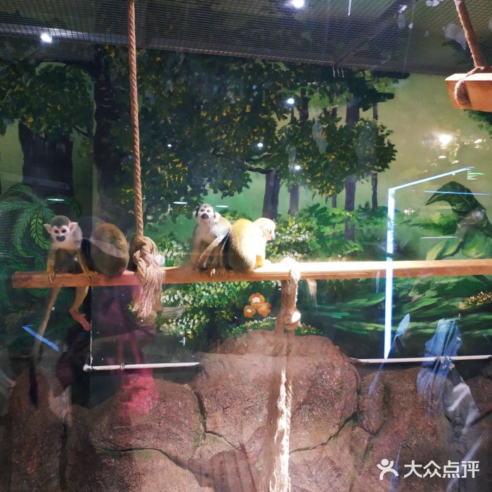 卡乐的动物王国 室内动物园-图片-乌鲁木齐休闲娱乐