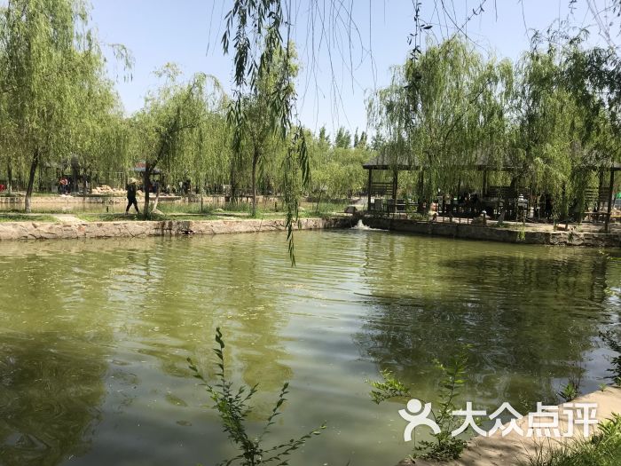 天津杨柳青庄园 大众点评