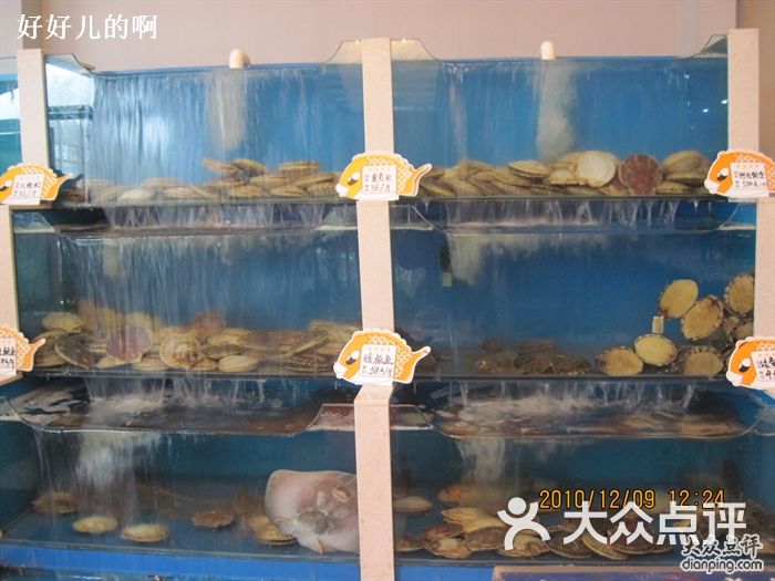 海口金海岸罗顿大酒店_金海岸小学羽毛球馆_金海岸海鲜食府(2)