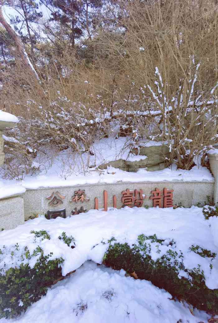 龙谷山森林公园-"爬山吗?还给你摆姿势的那种[偷笑]