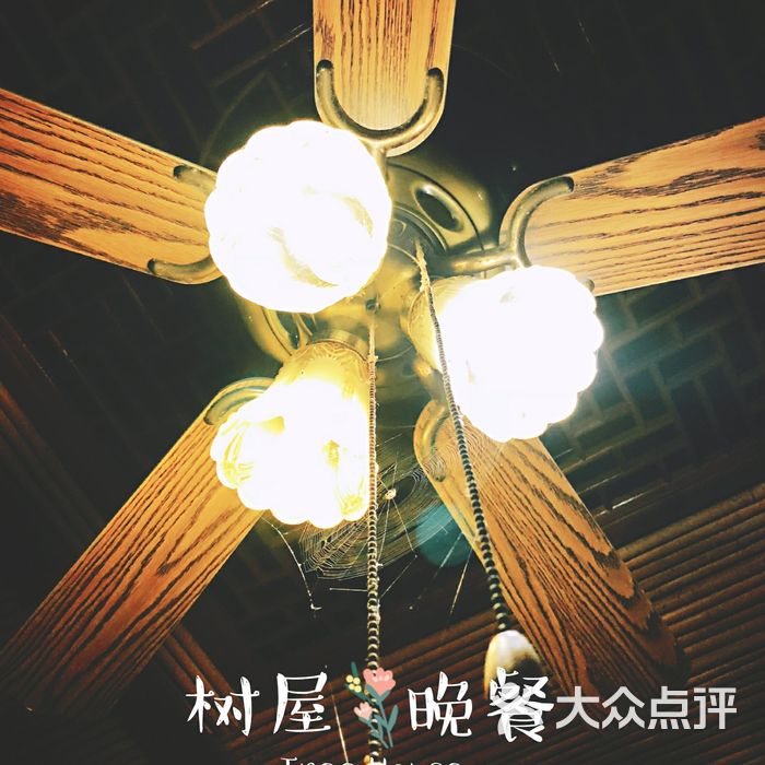 树屋the tree house餐厅室外图片-北京西餐-大众点评网