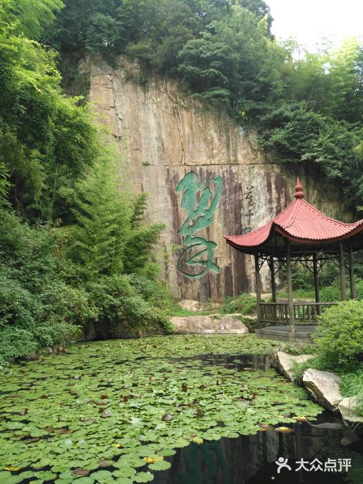 莫干山风景区-图片-莫干山景点/周边游-大众点评网