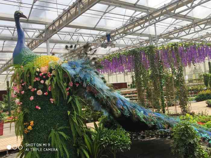 台州花木城(建设中)-"位于台州市路桥区峰江施家村,路