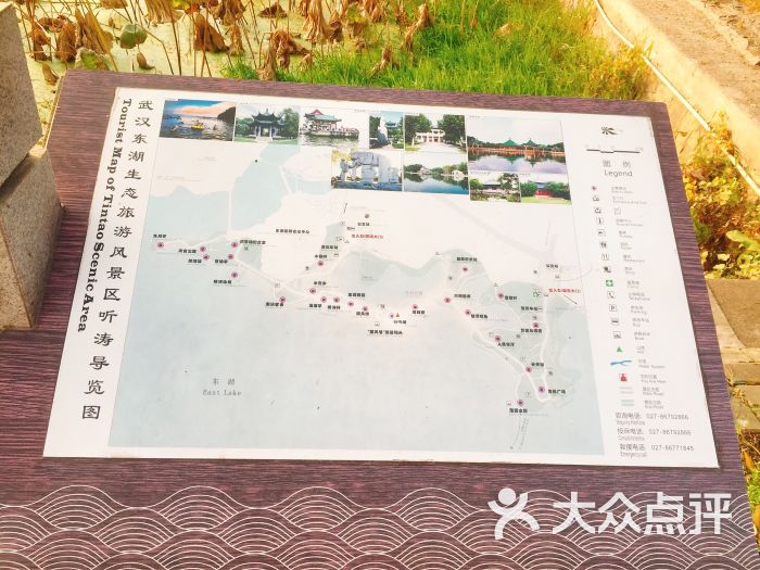 东湖听涛景区-图片-武汉周边游-大众点评网