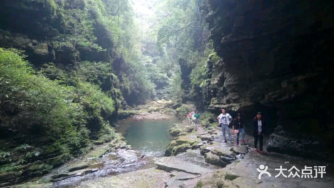 养马峡银杏山庄《红房子》-图片-江油市休闲娱乐-大众