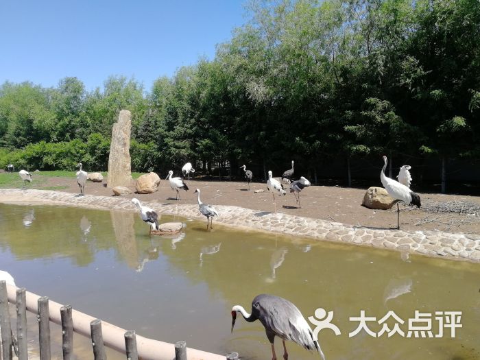 龙沙动植物园图片 - 第2张