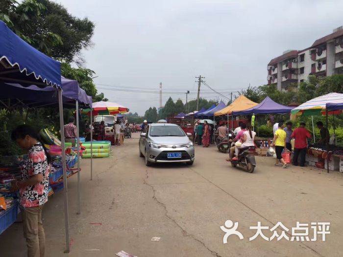 明阳农场向阳队-图片-南宁休闲娱乐-大众点评网