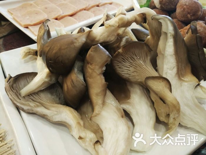 燥串串老火锅蘑菇图片 第8张
