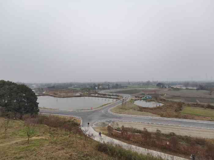 战旗五季花田景区-横山观景台-"朋友推荐的横山花湖比较适合晒太阳