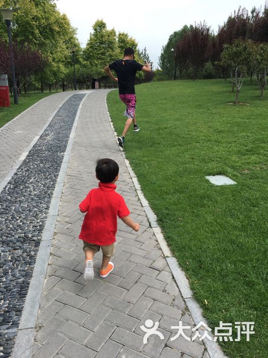 大望京公园儿童游乐场-图片-北京