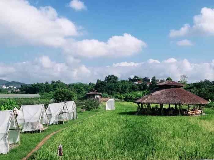 小草垛田野农场-"菜品好吃,环境太美了,出片率极高,最近温.