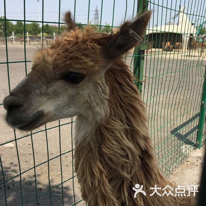 光合谷动物园