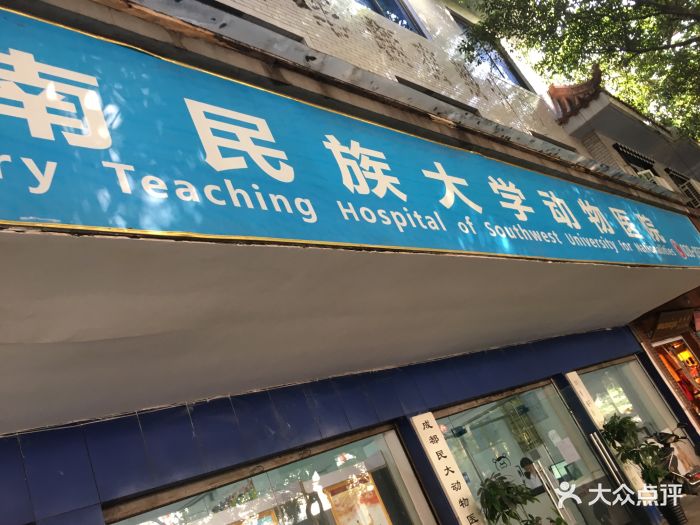 西南民族大学动物医院图片 - 第4张