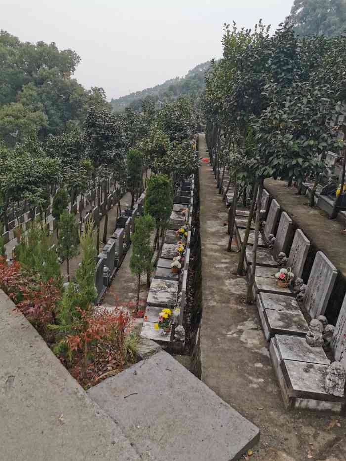 半山公墓-"这个半山公墓算杭州的老公墓之一,不得不说