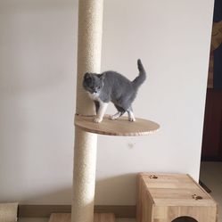 DkshBUGSuXSbZw7Ymt6YXF28g4vfEvwsIs33vmHOvqwJss484GeC-uwoKU3svis-F5u7J_jS4MuCaeLAHD0KTg.jpg