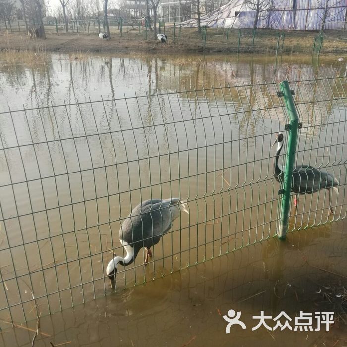 沧州动物园