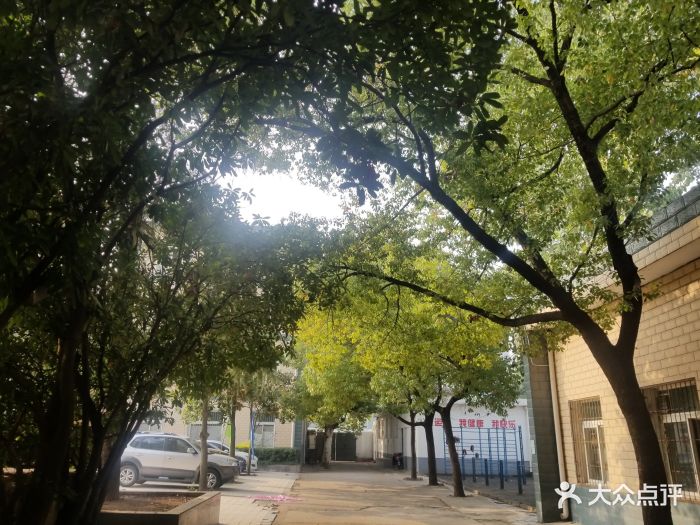 武汉市钟家村中学图片 - 第7张