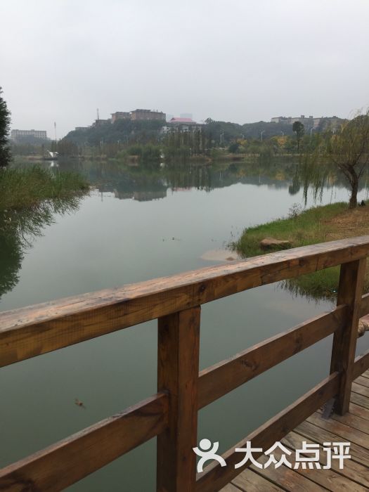 木鱼湖湿地公园-图片-湘潭周边游-大众点评网图片