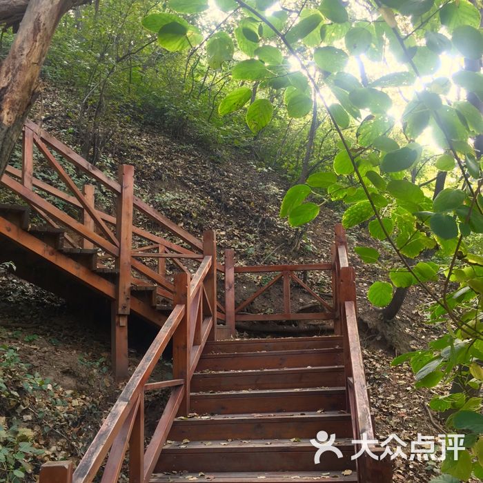 大岭沟猕猴桃谷风景区