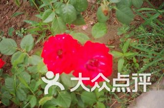 萧山区小学排名_萧山区南城小学(3)