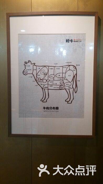 好牛烧肉专门店(印象城现代大道店)牛肉解剖图图片 - 第8613张