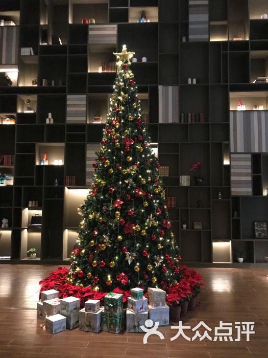 南京金鹰国际酒店大堂圣诞树图片 第1张