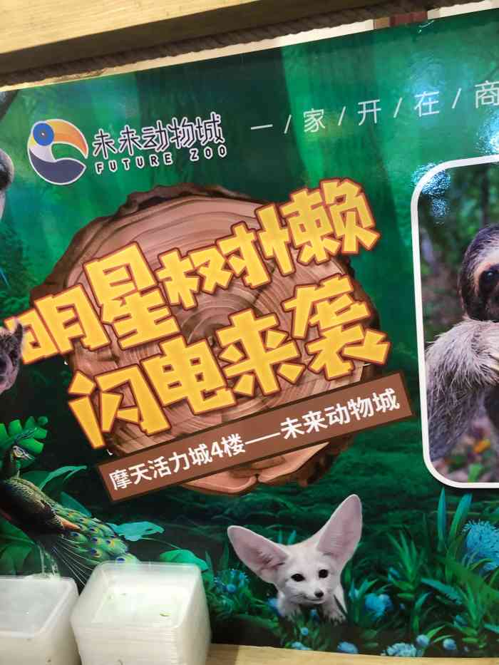 future zoo未来动物城-"交通:位于摩天活力城,周围有地铁轻轨位.