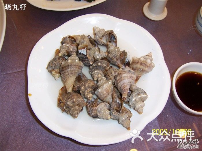 大连金石滩海鲜大排档_大连金石滩汤景泽温泉_金石滩大连海鲜农家菜(2)