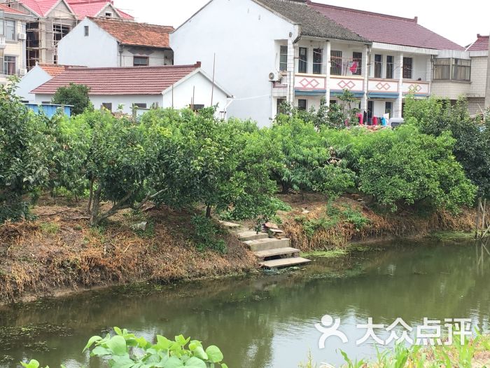 南汇新场凤仙水蜜桃田园农家乐的点评
