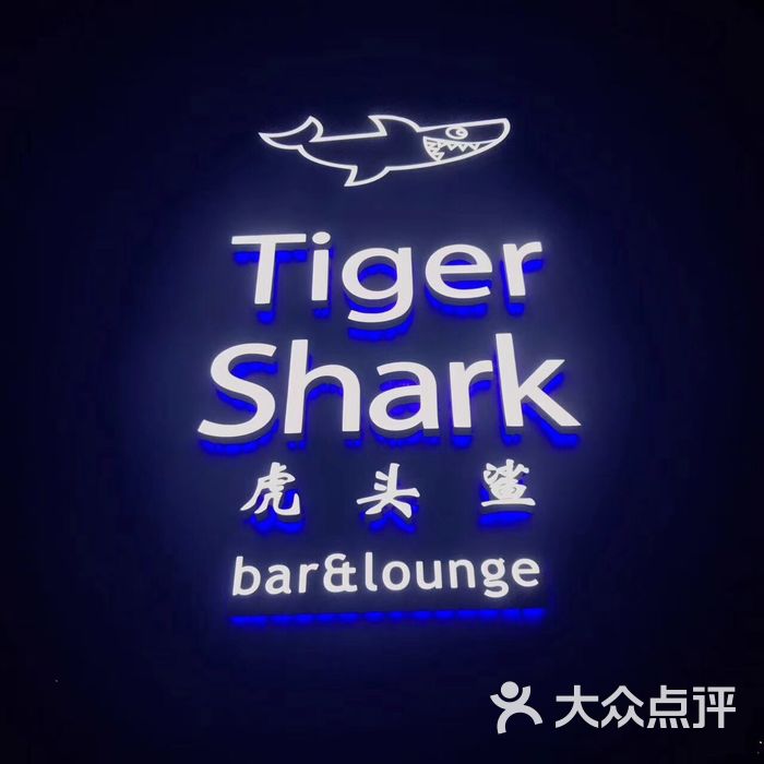 tiger shark 虎头鲨图片-北京清吧-大众点评网