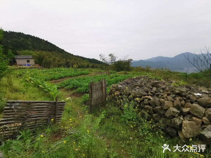 横溪观音岭古道-图片-宁波生活服务-大众点评网