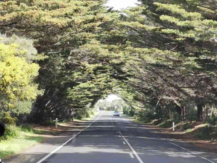 great ocean road memorial archway-"大洋路的起点有