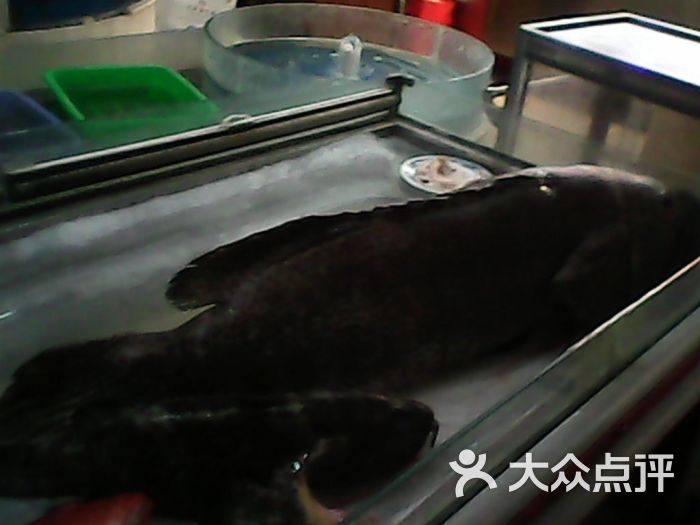 厦门大厦餐厅的点评