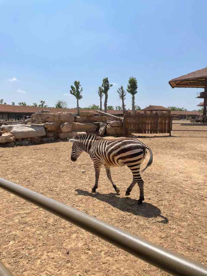 泉城欧乐堡动物王国-"推荐理由: 想在山东省内短途亲子旅行的,.