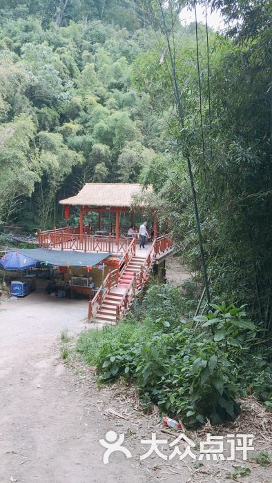 西安鲸鱼沟竹海风景区图片 - 第3张