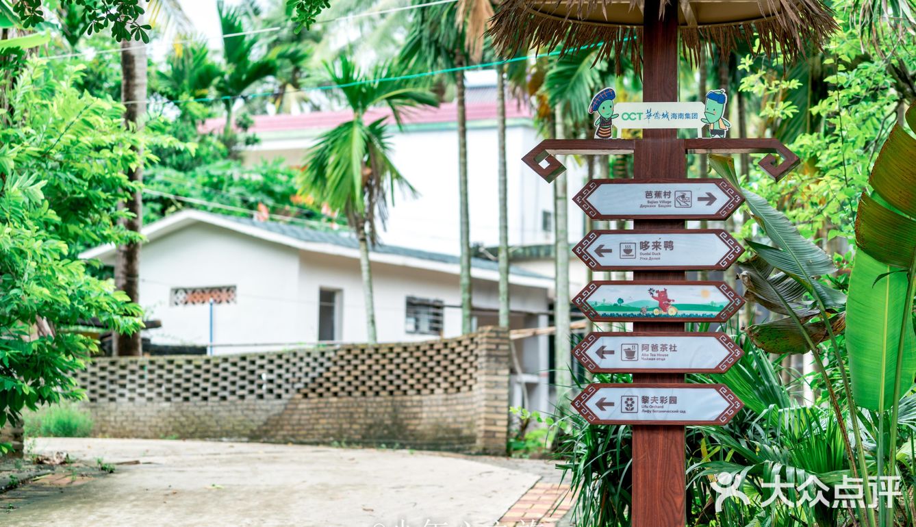 三亚小众景点中廖村旅游攻略|三亚五星级乡村