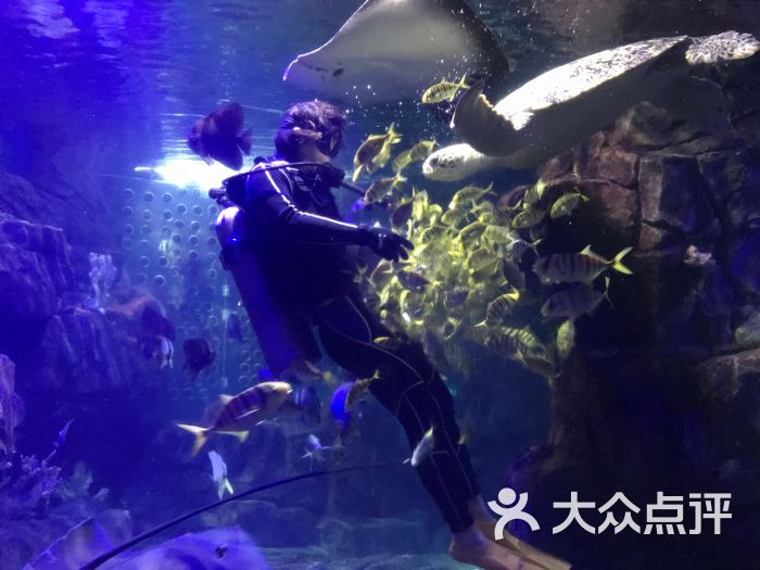 蠡湖中央公园海底世界图片 - 第2张