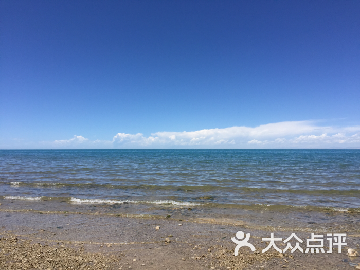 青海湖海心山图片 第69张