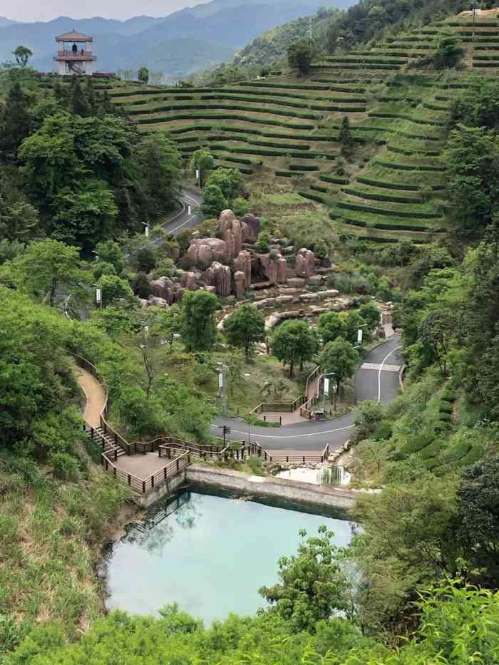 平和高峰谷景区-"风景尚可,山清水秀,还有黑天鹅在水.