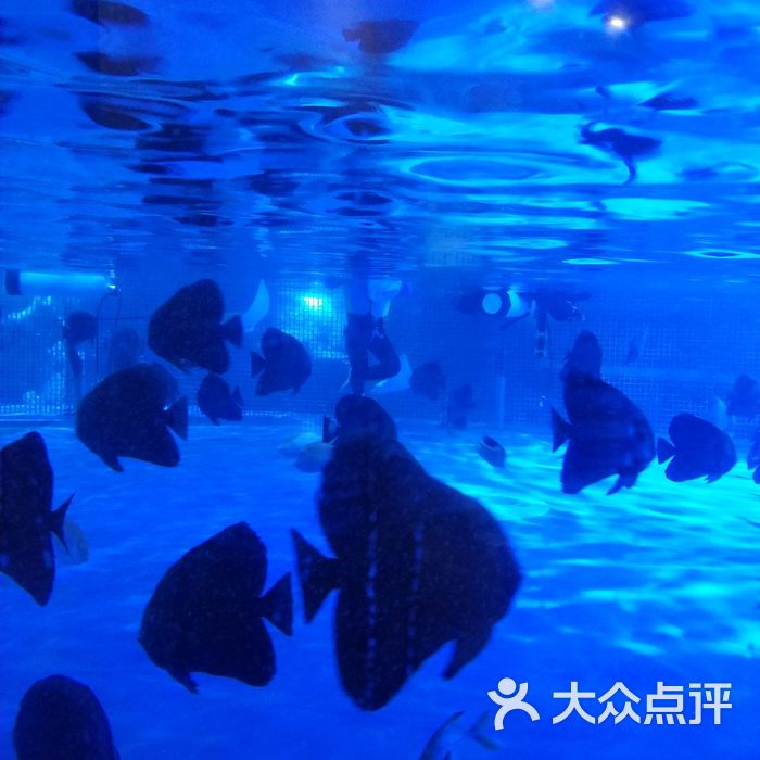 甜甜湾乐园海洋城