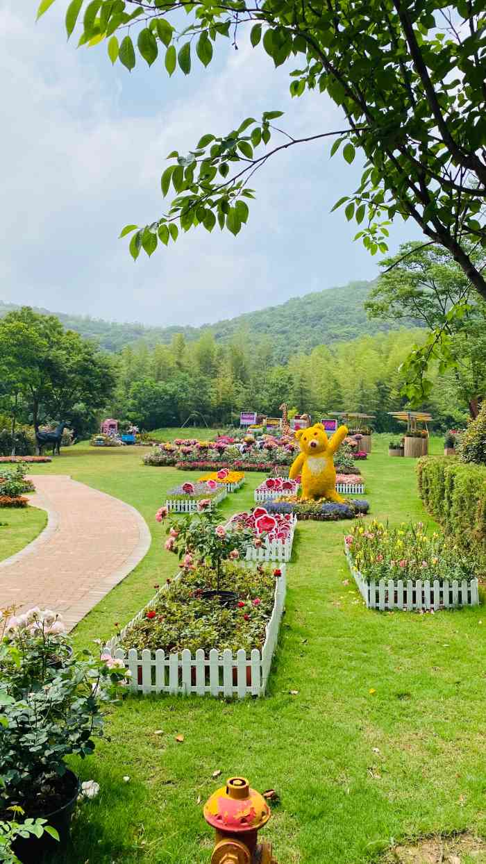 花谷奇缘旅游景区-"五一小长假和家人自驾游去茅山区