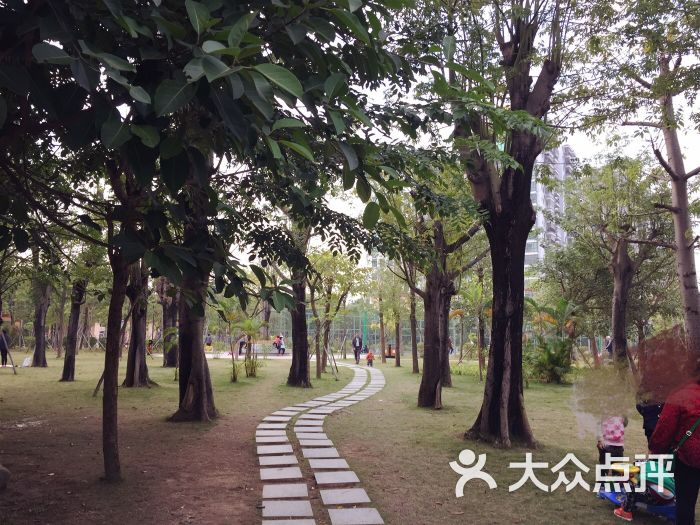 百旺公园-图片-深圳周边游