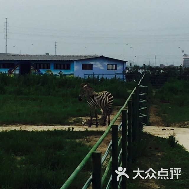大丰港动物园图片 - 第1张