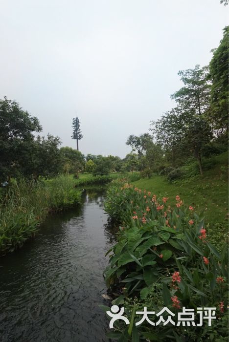 海珠湿地公园-图片-广州周边游-大众点评网