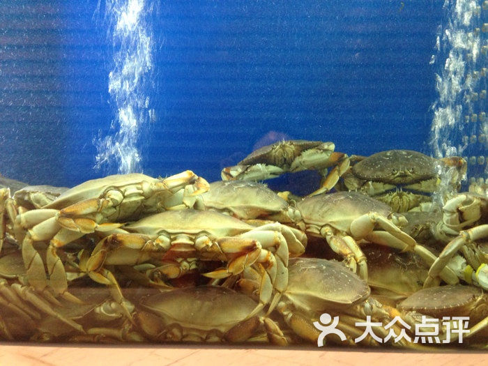 珍宝海鲜jumbo seafood图片-北京新加坡菜-大众点评网