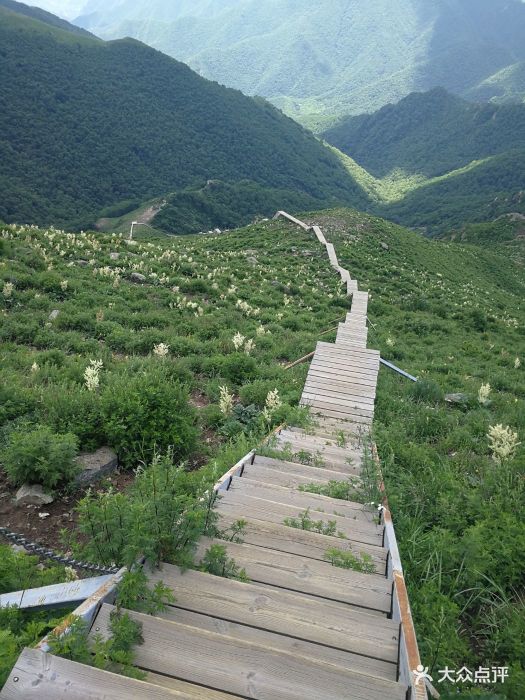 老板人很好家常菜很好吃,什么时候想吃饭直.